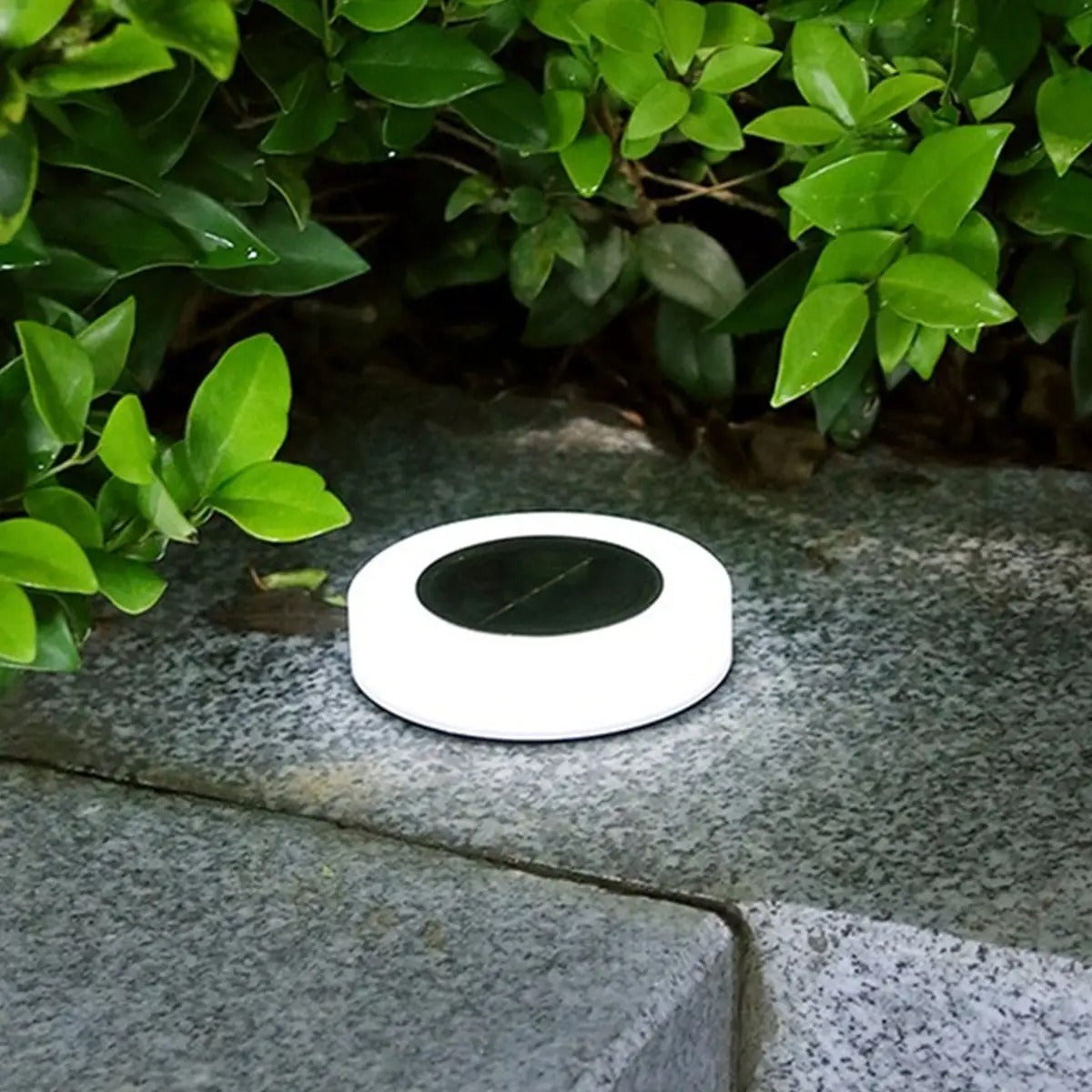 TerraGlow™ Solar Garden Lights - Elegant Solar Powered Outdoor Lighting for Your Yard 1