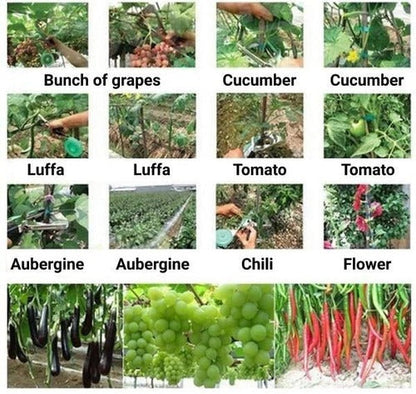 GardenBuddy™ Trellis Tool for Climbing Plants - Perfect for Garden Enthusiasts - 3