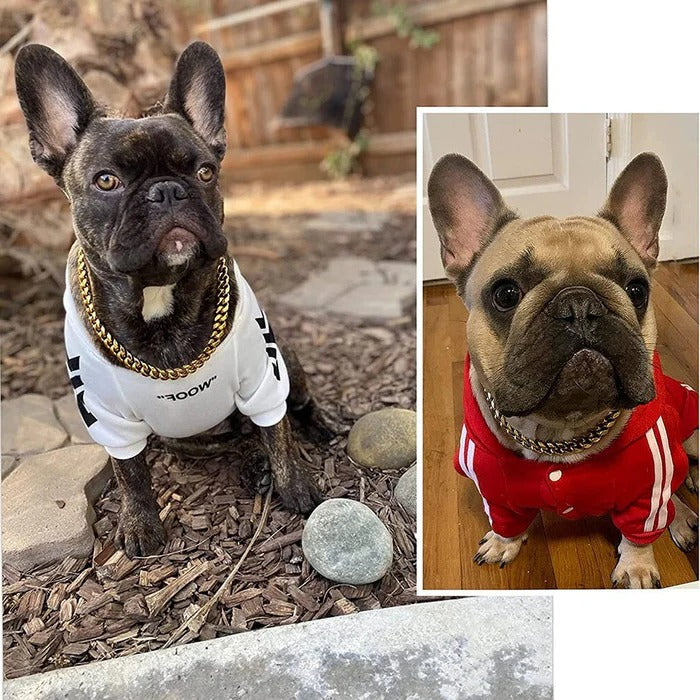 StrongBark™ Heavy-Duty Dog Collar for Chewers and Active Dogs 2