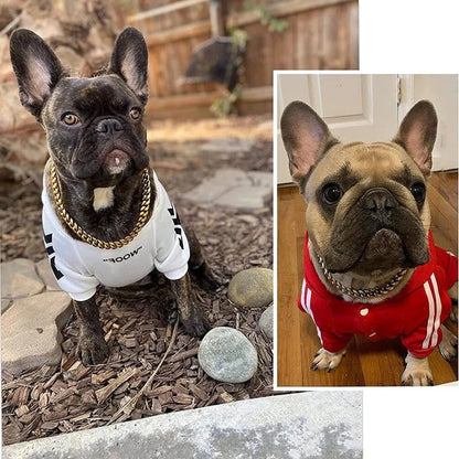 StrongBark™ Heavy-Duty Dog Collar for Chewers and Active Dogs 2