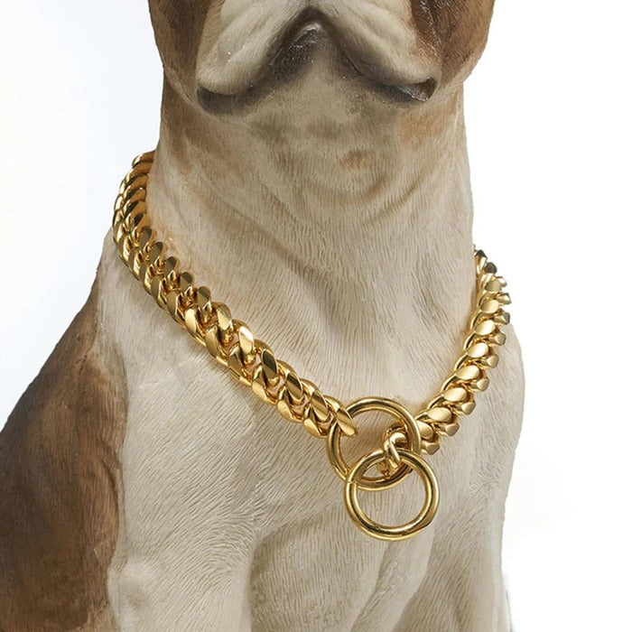 StrongBark™ Heavy-Duty Dog Collar for Chewers and Active Dogs 1