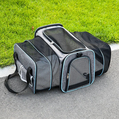 PetVoyager™ Airline Approved Pet Carrier Bag for Cats and Small Dogs