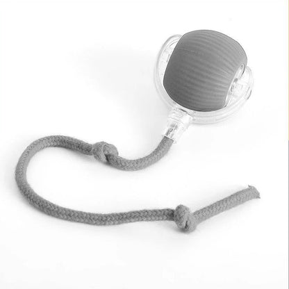 ActivePaws™ Interactive Rolling Ball Dog Toy for Fun and Exercise