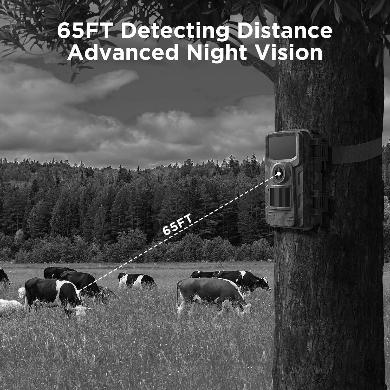 WildWatch™ Night Vision Trail Camera for Wildlife Enthusiasts, 16MP HD Video - 2