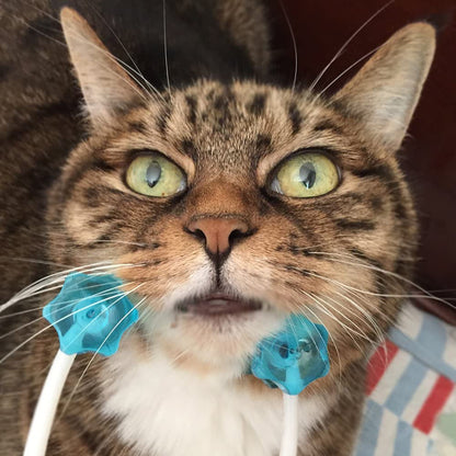 Cat Face Massager