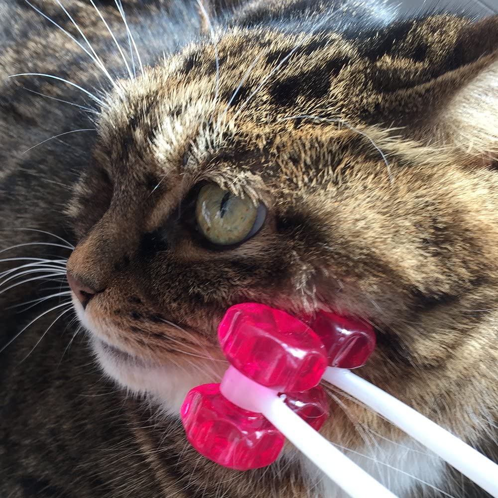 Cat Face Massager