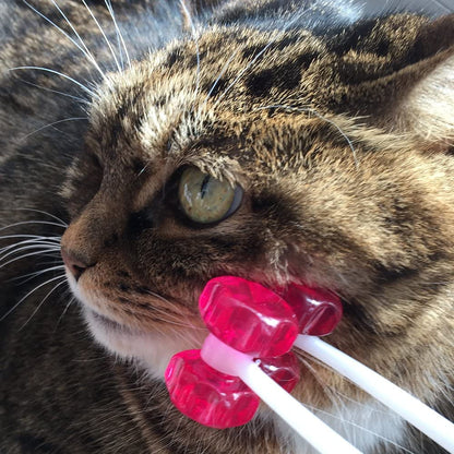 Cat Face Massager