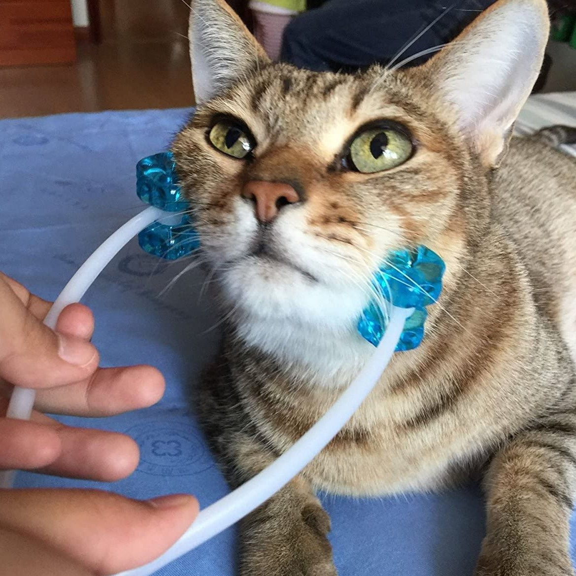 Cat Face Massager