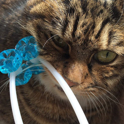 Cat Face Massager