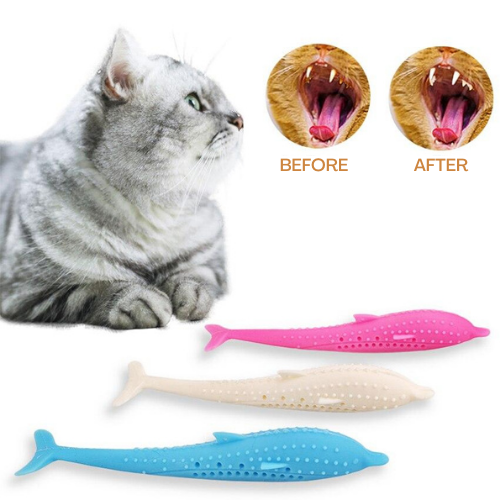 Kitty Toothbrush