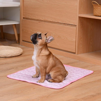 Pet Summer Cooling Mat