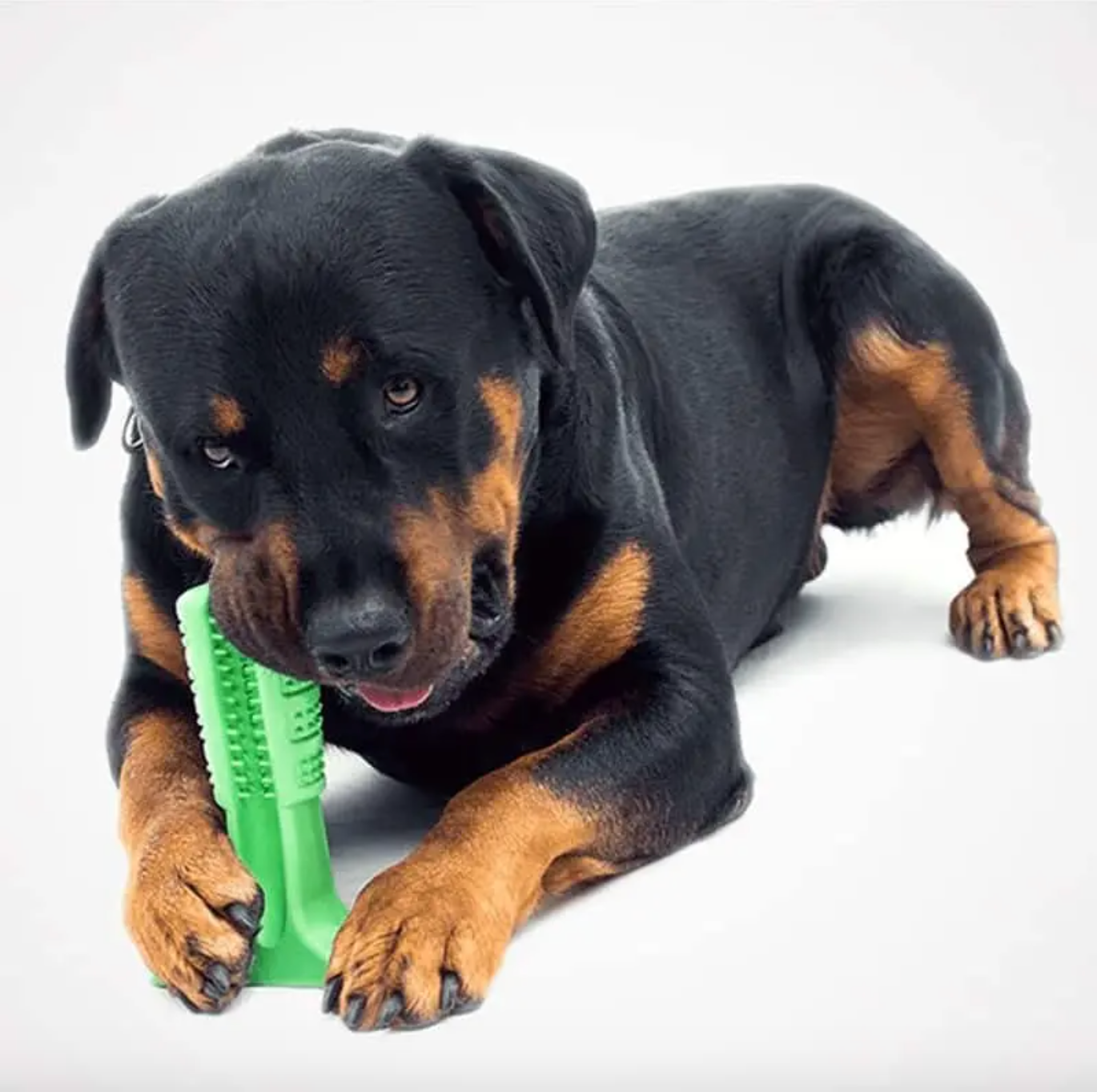 Dog Toothbrush For Clean Teeth and Tooth Decay Prevention