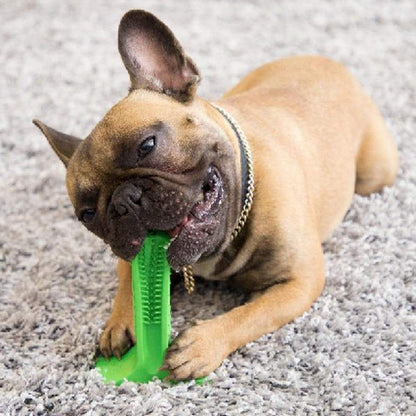 Dog Toothbrush For Clean Teeth and Tooth Decay Prevention